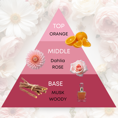 ペタルヴェール