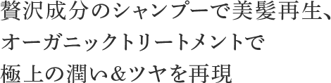 贅沢成分のシャンプーで美髪再生、オーガニックトリートメントで極上の潤い&ツヤを再現