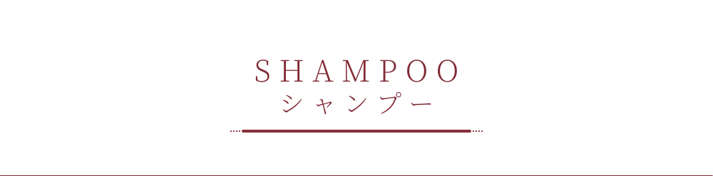 シャンプーカテゴリー